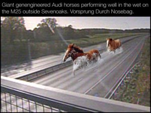 Audi_horseys
